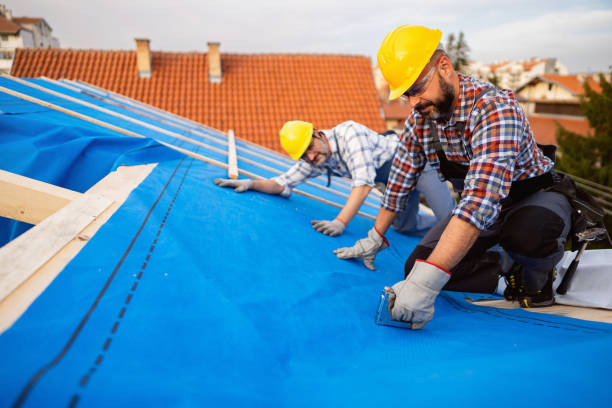 Best Roof Insulation Installation  in Salida, CO